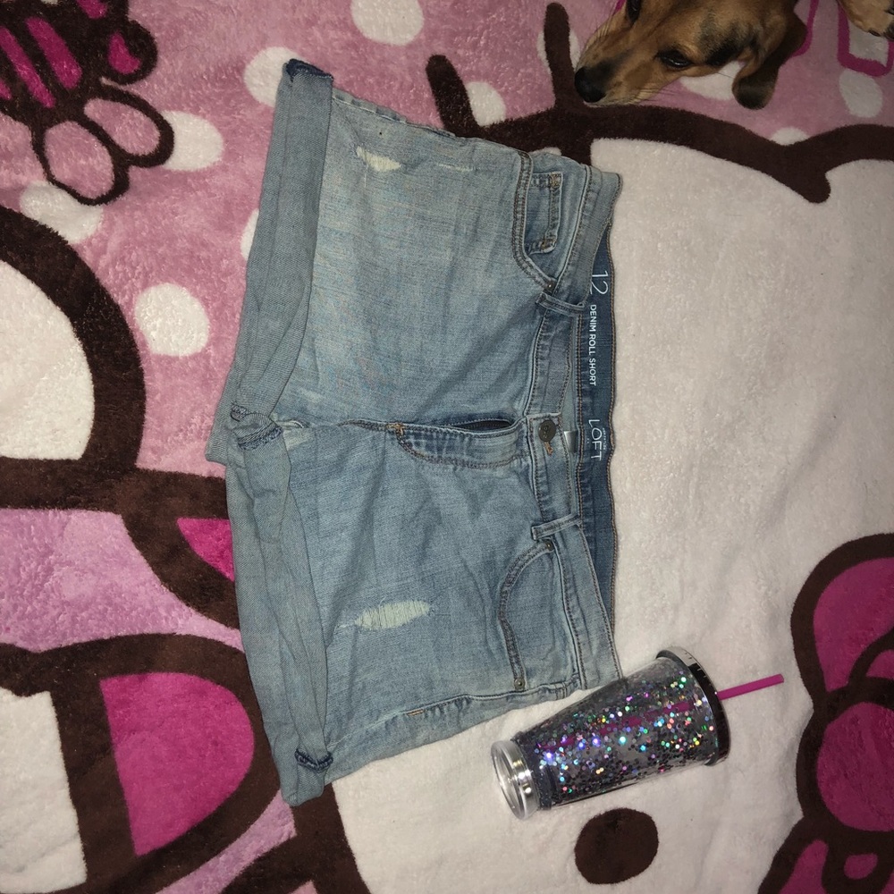 Loft shorts